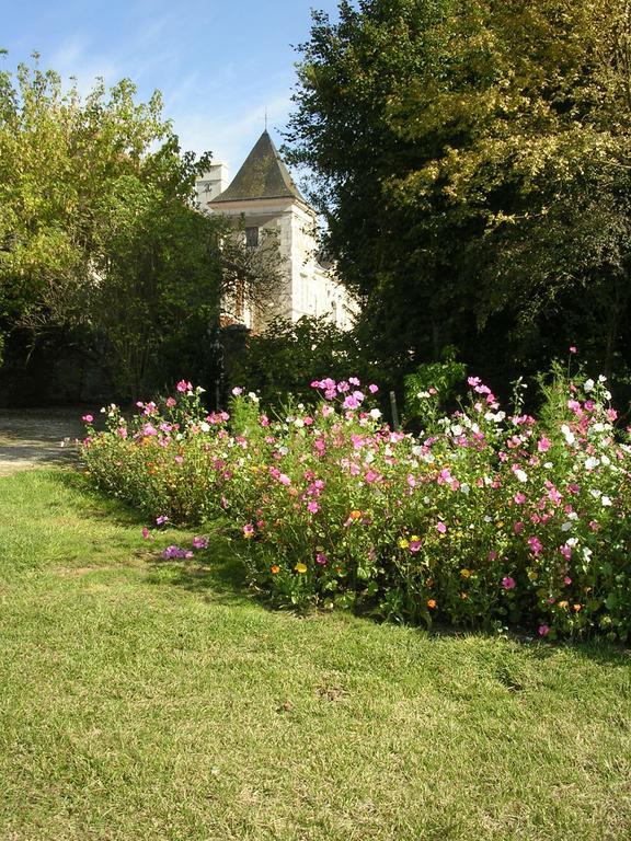 Bed and Breakfast Chateau De La Noblaye Lemere Exterior foto